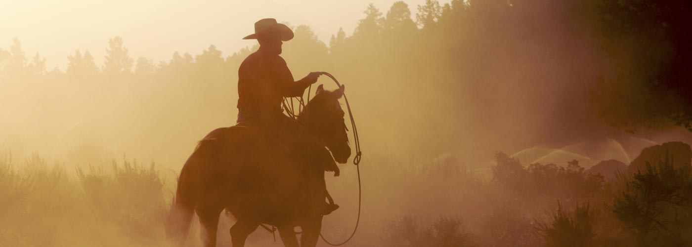 A silhouette of a cowboy riding a horse through a dusty landscape at sunset, with trees faintly visible in the background and warm golden light filtering through the scene.